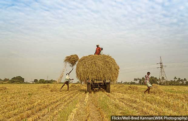 Farmer crisis_620