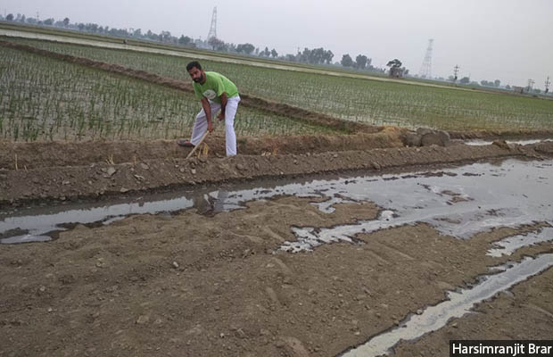 Harsimranjit Brar, from a farming family in Sri Muktsar Sahib, Punjab, feels that farmers need more technical know-how on climate relevant to their situation. State-wise or regional advisories ignore the fact that the characteristics of land differ from area to area.