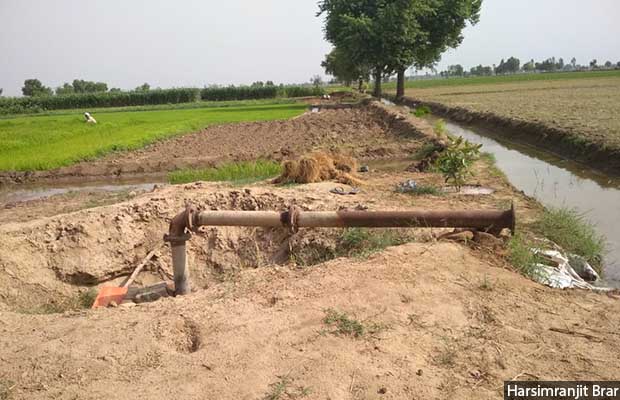 Harsimranjit Brar’s family in Sri Muktsar Sahib, Punjab, is grateful for the government subsidies that reduced the cost of a tubewell from Rs 100,000 to Rs 9,000. However, he acknowledged that this benefit has not been extended to all the needy farmers, many of whom cannot afford electricity.