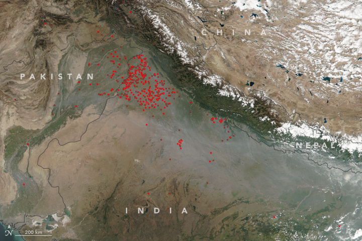 india_vir_2017298