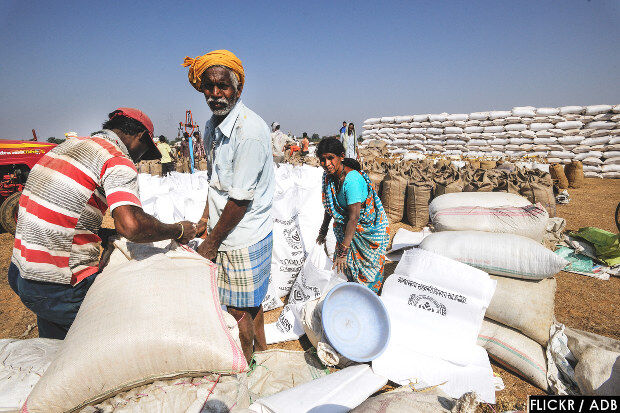 Farm Insurance Payout Triples In One Year