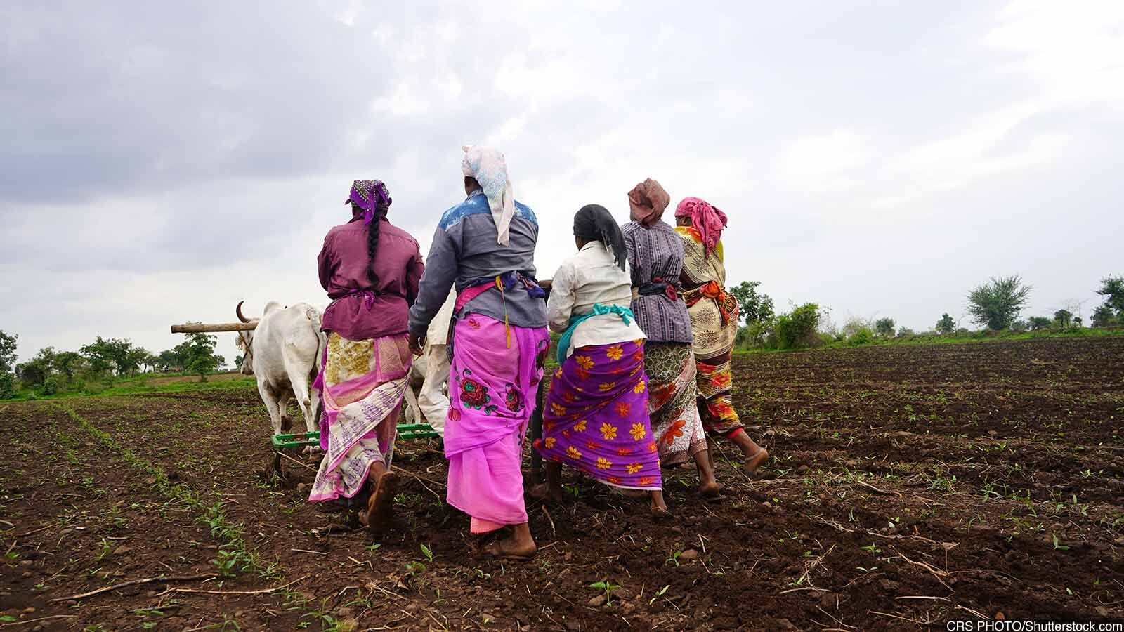 How Agriculture Grew Despite COVID Crisis How Agriculture Grew Despite COVID Crisis