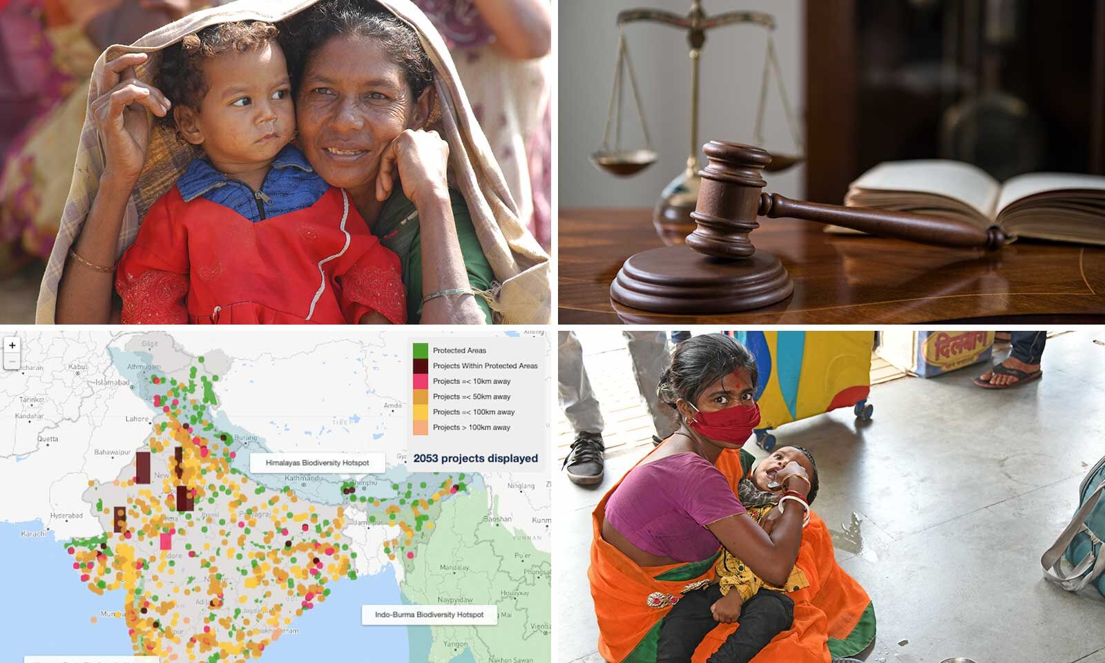 What You Missed While Reading About COVID