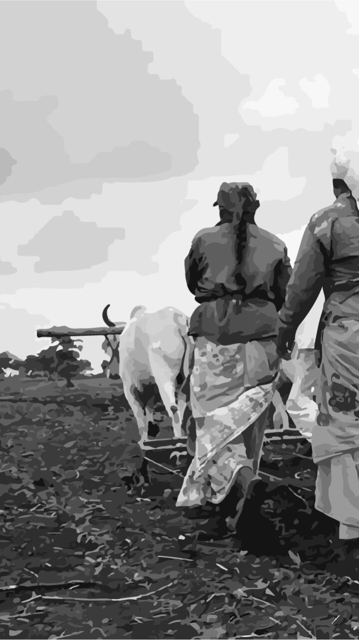 How Agriculture Grew Despite COVID Crisis