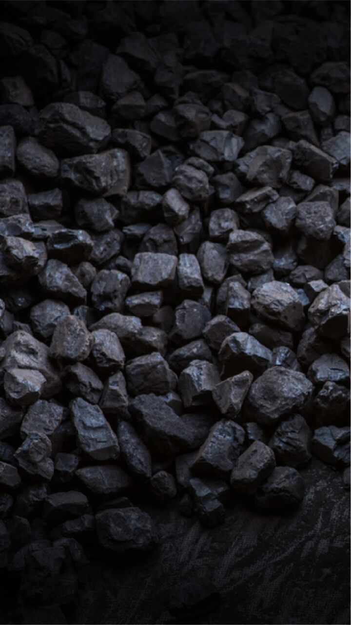 In A Year Of Extreme Events, Govt Pushed Coal, Diluted Green Laws