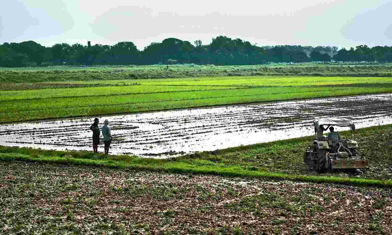 In 12 Years, 11 States Changed Land Ceiling Laws In Favour Of Industry Over Farmers