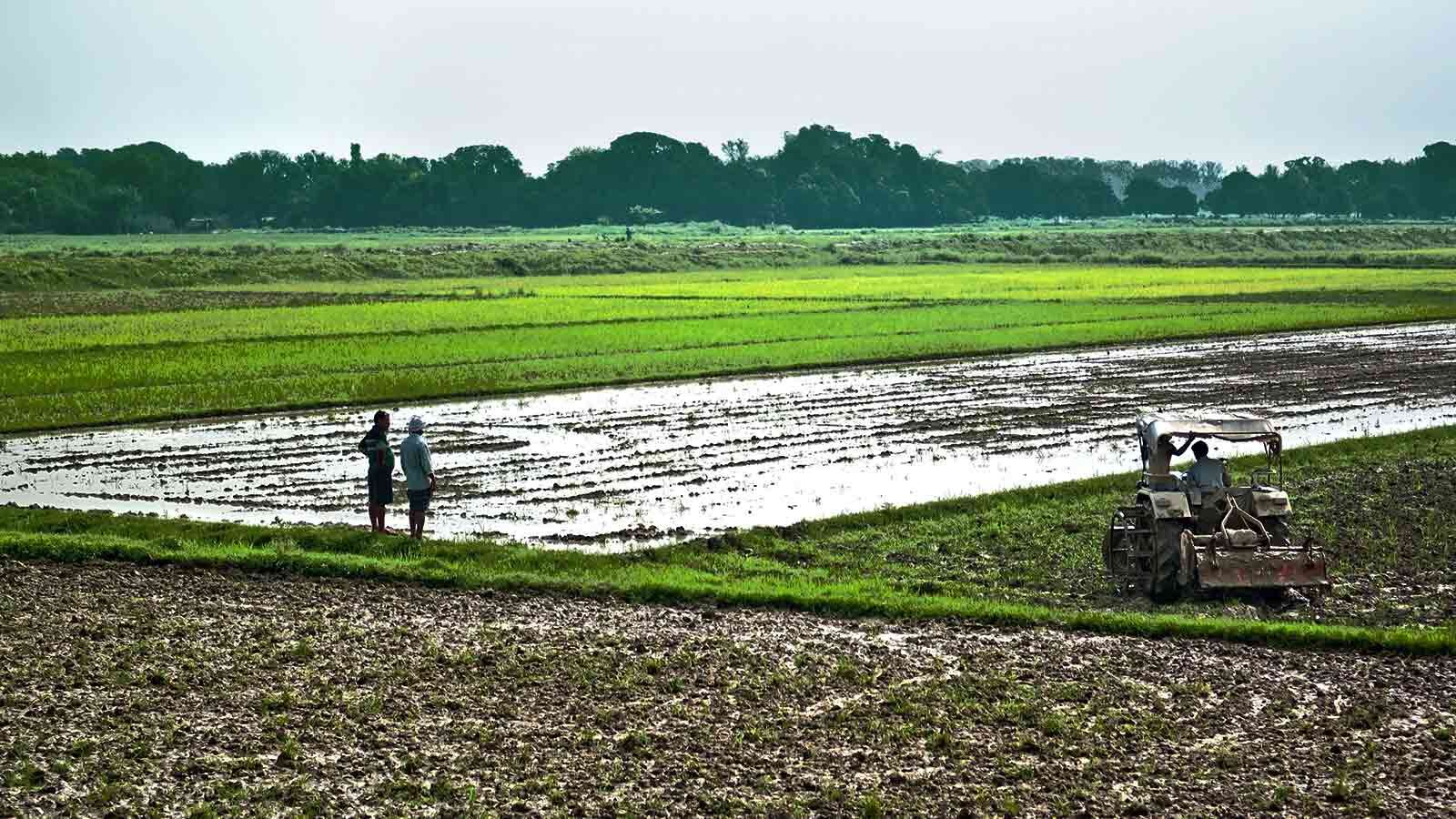 in 12 years, 11 states changed land ceiling laws in favour of industry over farmers
