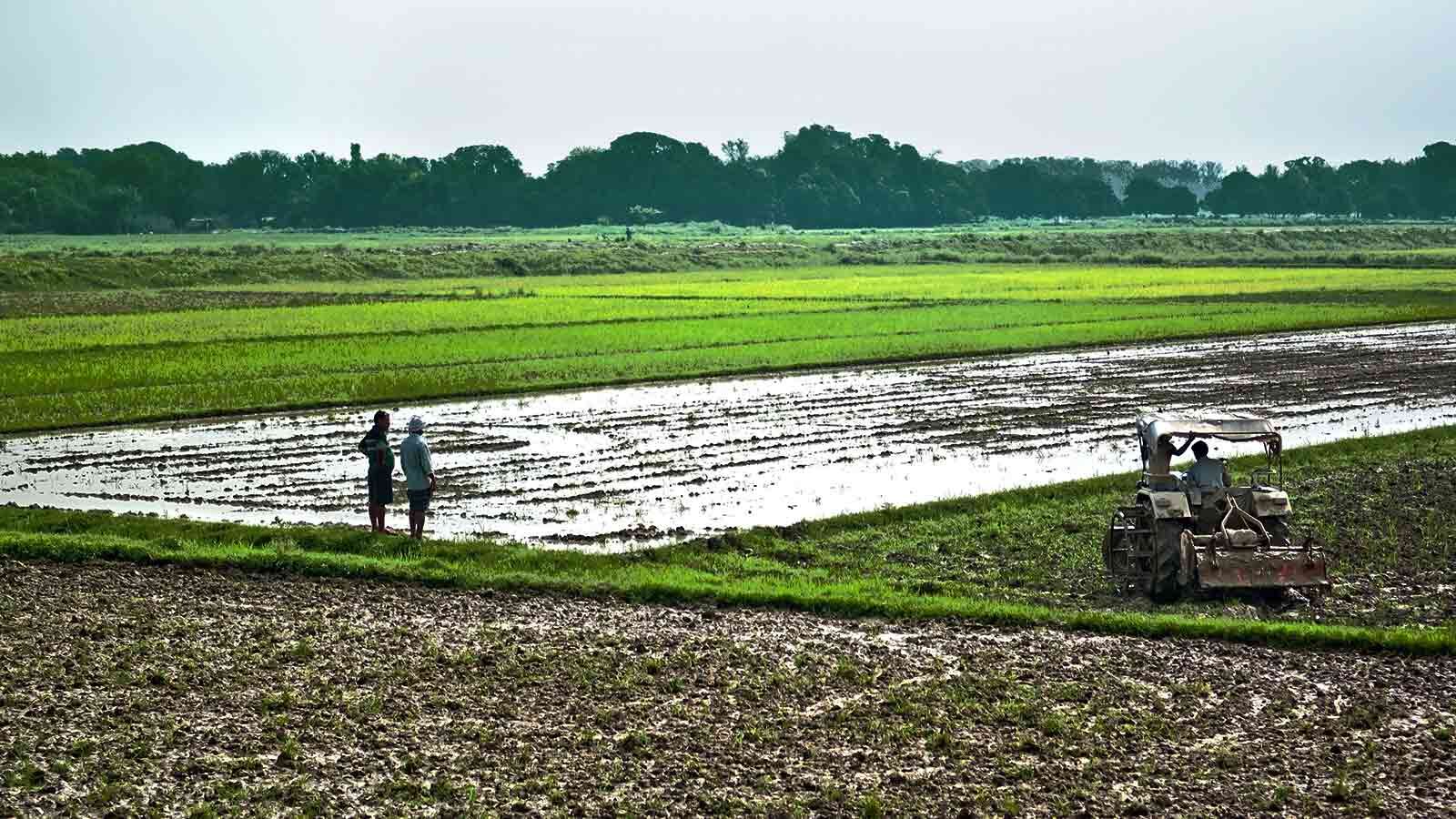 In 12 Years, 11 States Changed Land Ceiling Laws In Favour Of Industry Over  Farmers