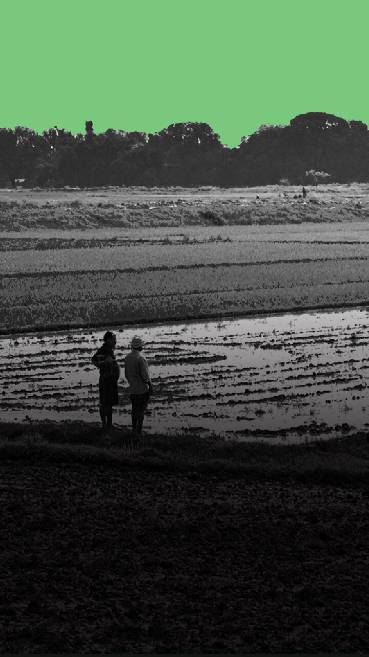 In 12 Years, 11 States Changed Land Ceiling Laws In Favour Of Industry Over Farmers