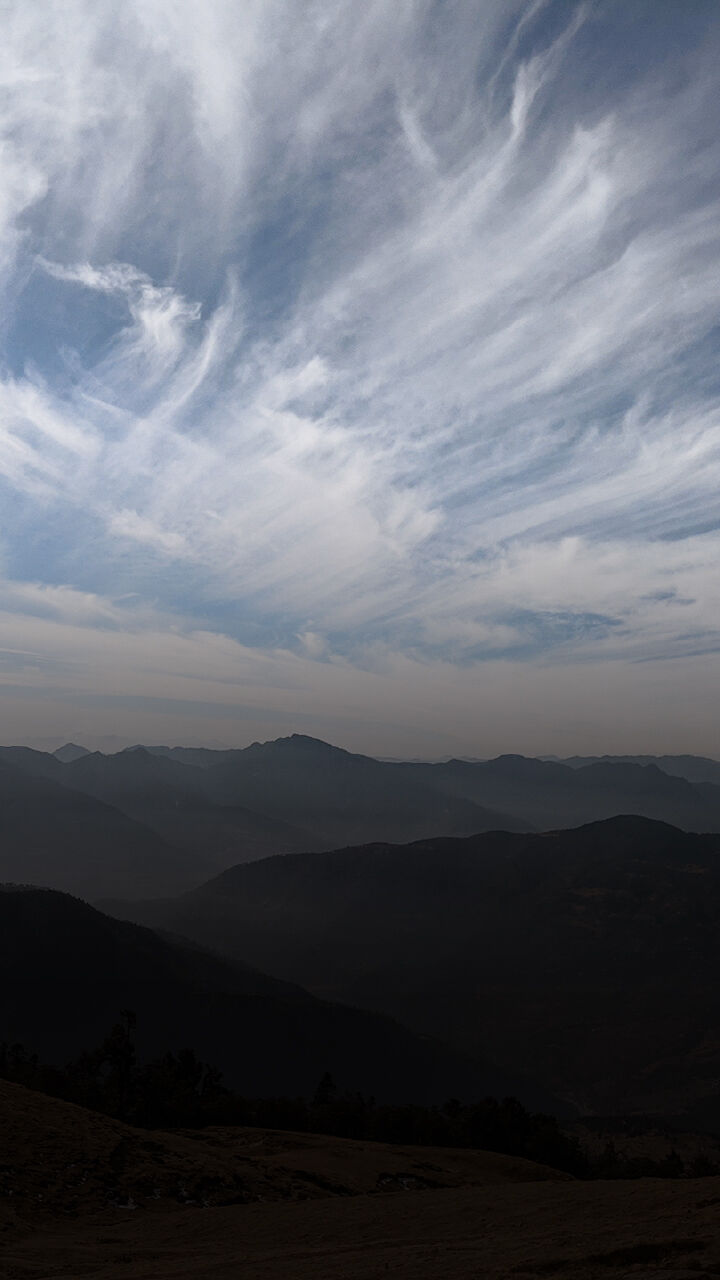 Our Past Week: Priya Ramanis Interview, Sexual Harassment Law, Child Survivors of Delhi Riots and Child Stunting in North-East India