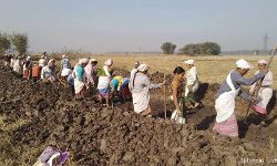 Members of a self-help group engage in MGNREGS work to build an irrigation drain in Dimoruguri Gram Panchayat of Guijan Block in Tinsukia, Assam