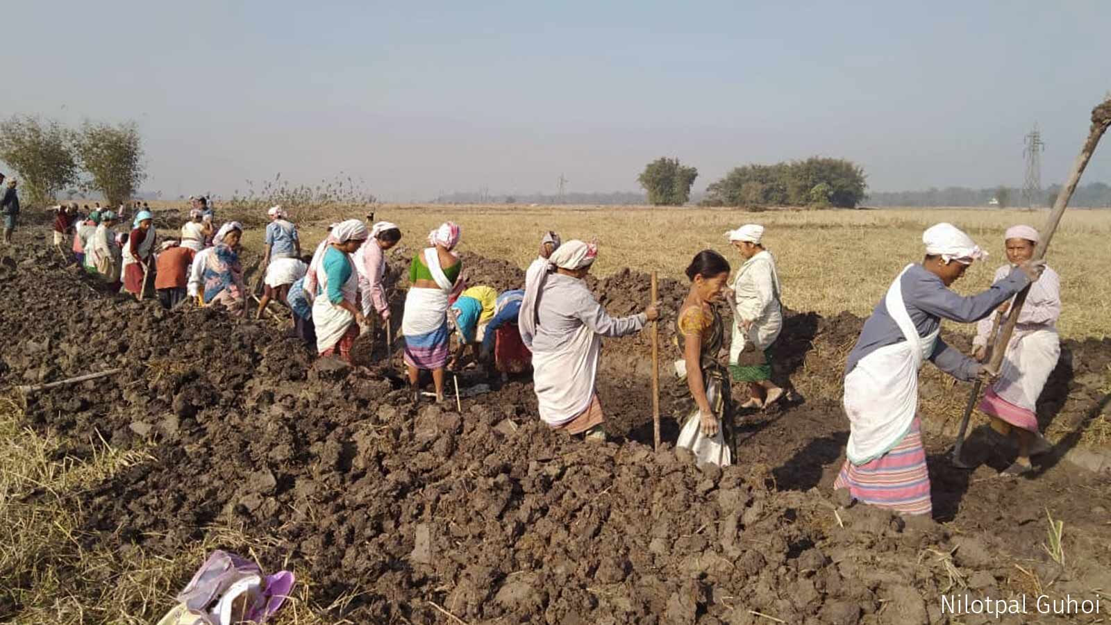 Members of a self-help group engage in MGNREGS work to build an irrigation drain in Dimoruguri Gram Panchayat of Guijan Block in Tinsukia, Assam Members of a self-help group engage in MGNREGS work to build an irrigation drain in Dimoruguri Gram Panchayat of Guijan Block in Tinsukia, Assam