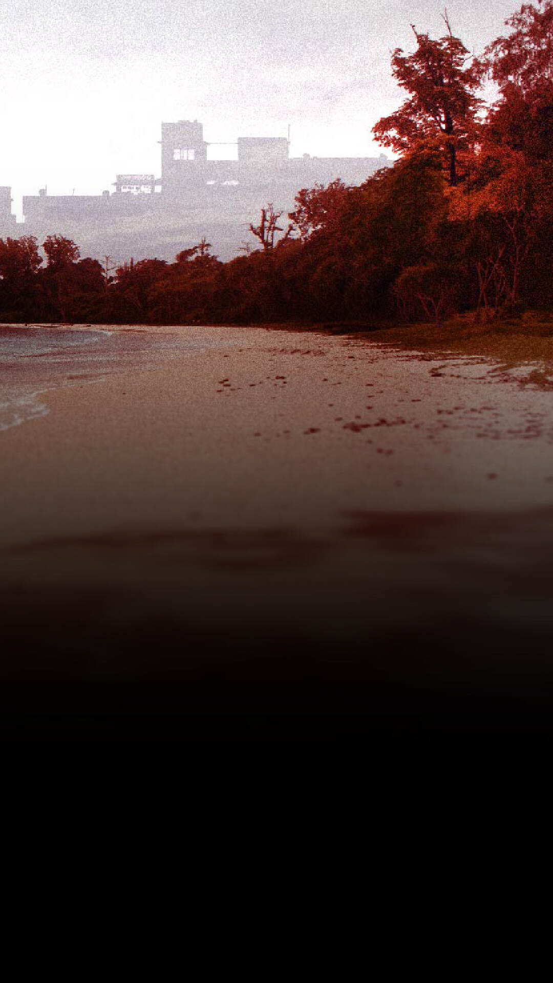 How Andaman Islands Are Losing Green Protection Against Business & Tourism