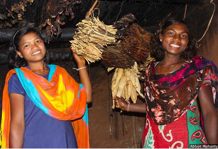 How A Tribal Community In Odisha Is Battling Climate Change With Traditional Farming