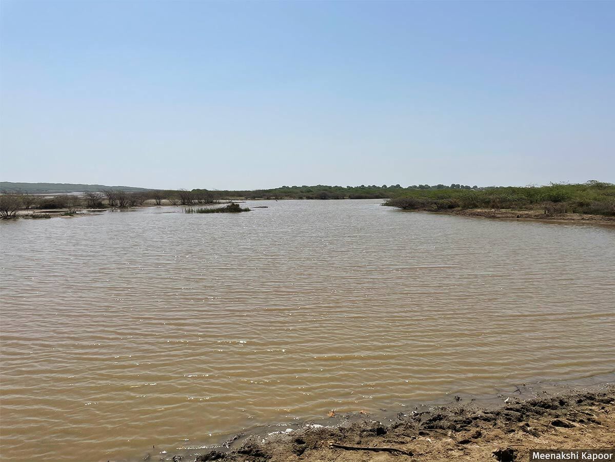 Methala bandhara, a check dam to prevent salinity ingress, built by the farmers in Gujarat's Bhavnagar district.