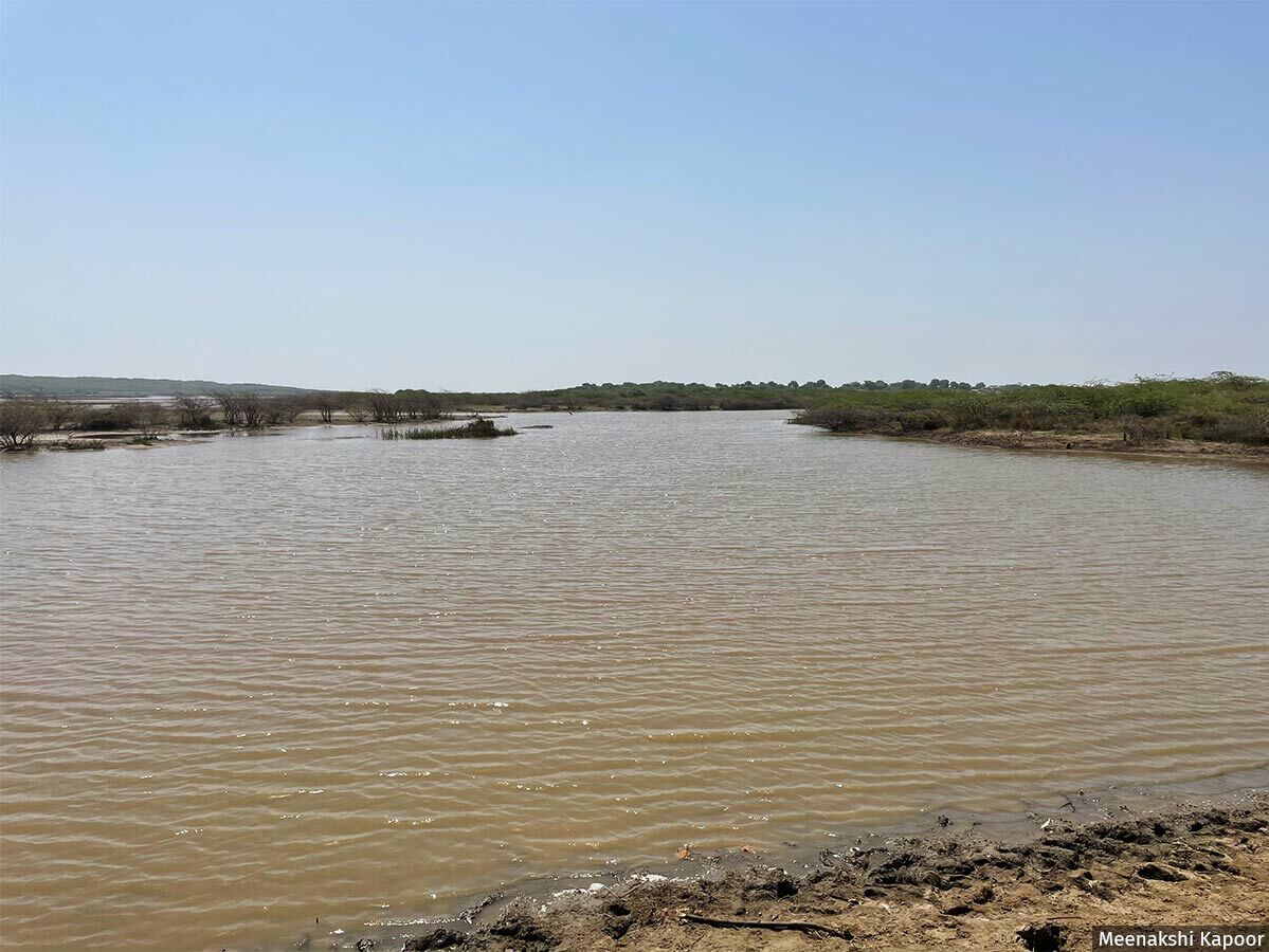 Methala bandhara, a check dam to prevent salinity ingress, built by the farmers in Gujarat's Bhavnagar district. Methala bandhara, a check dam to prevent salinity ingress, built by the farmers in Gujarat's Bhavnagar district.