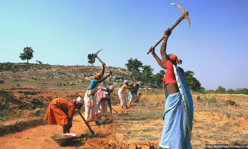 How Urban Job Guarantee Schemes Can Provide Livelihood, Equal Opportunity To Women How Urban Job Guarantee Schemes Can Provide Livelihood, Equal Opportunity To Women