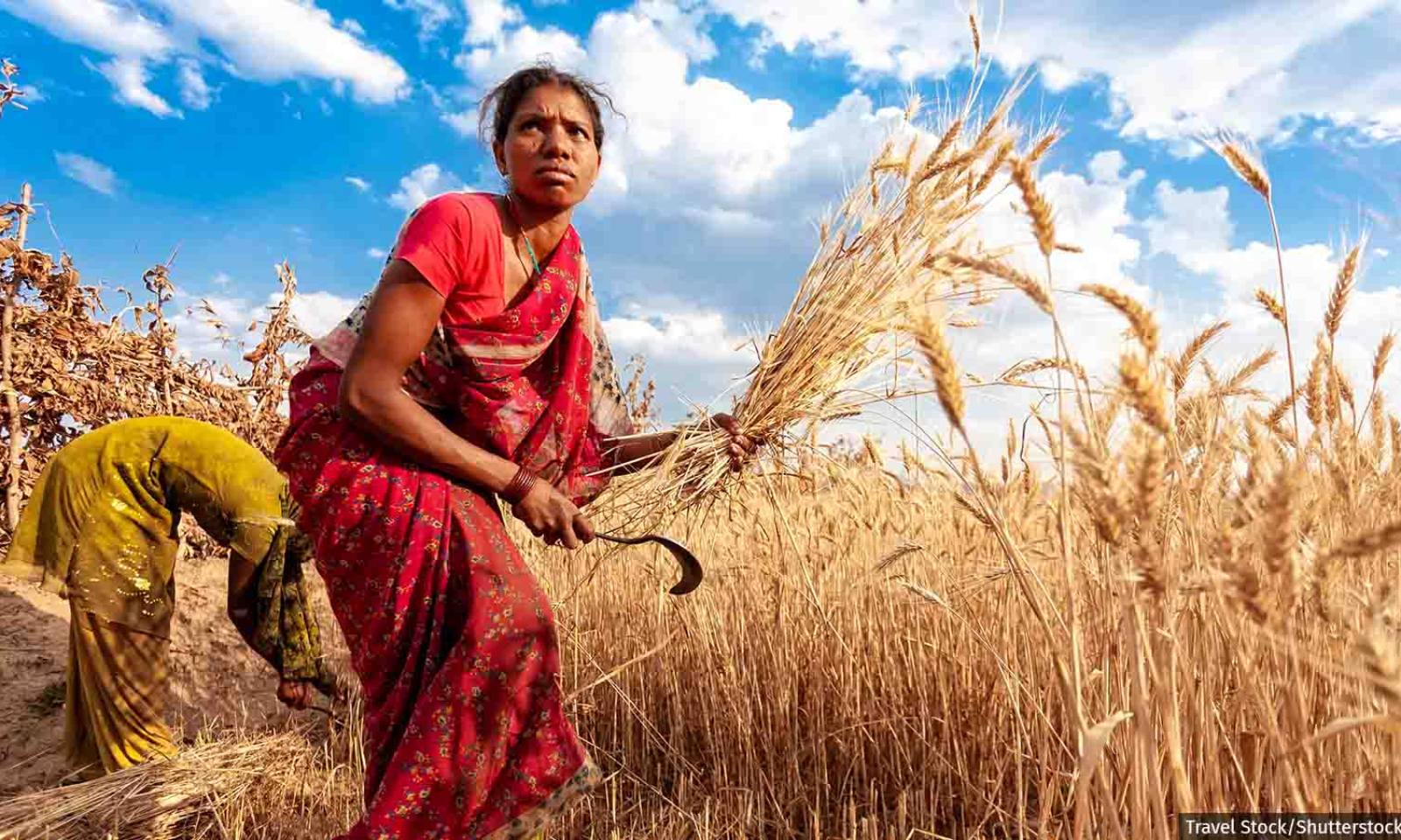 Why Women Farmers Are Losing Jobs
