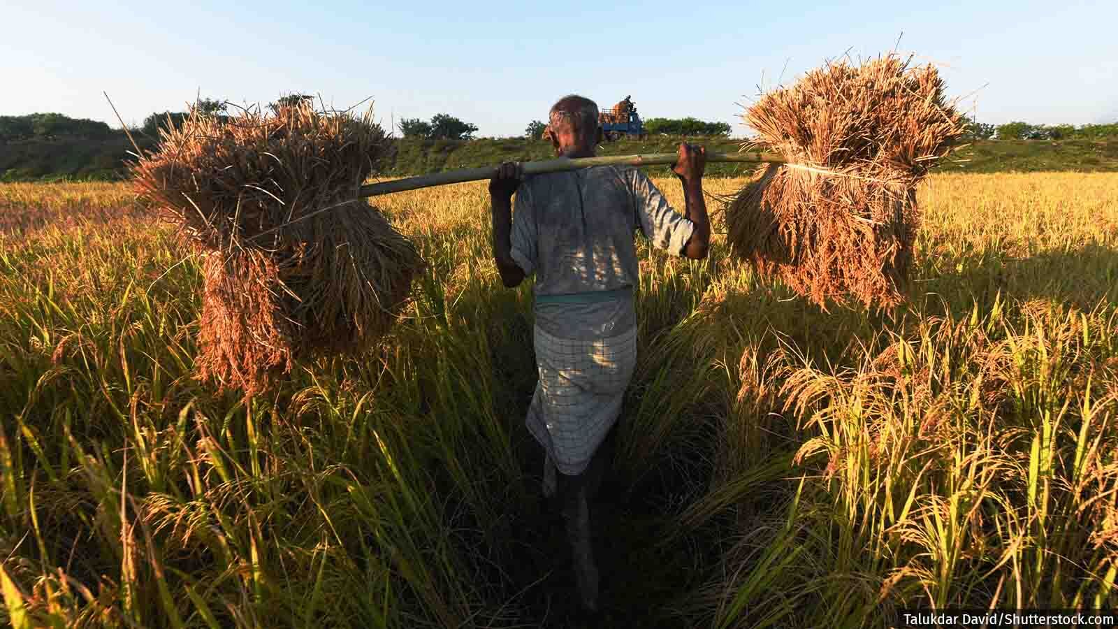 In 6 Years Pre-Covid, Average Farm Incomes Rose 59%, Debt 58% In 6 Years Pre-Covid, Average Farm Incomes Rose 59%, Debt 58%