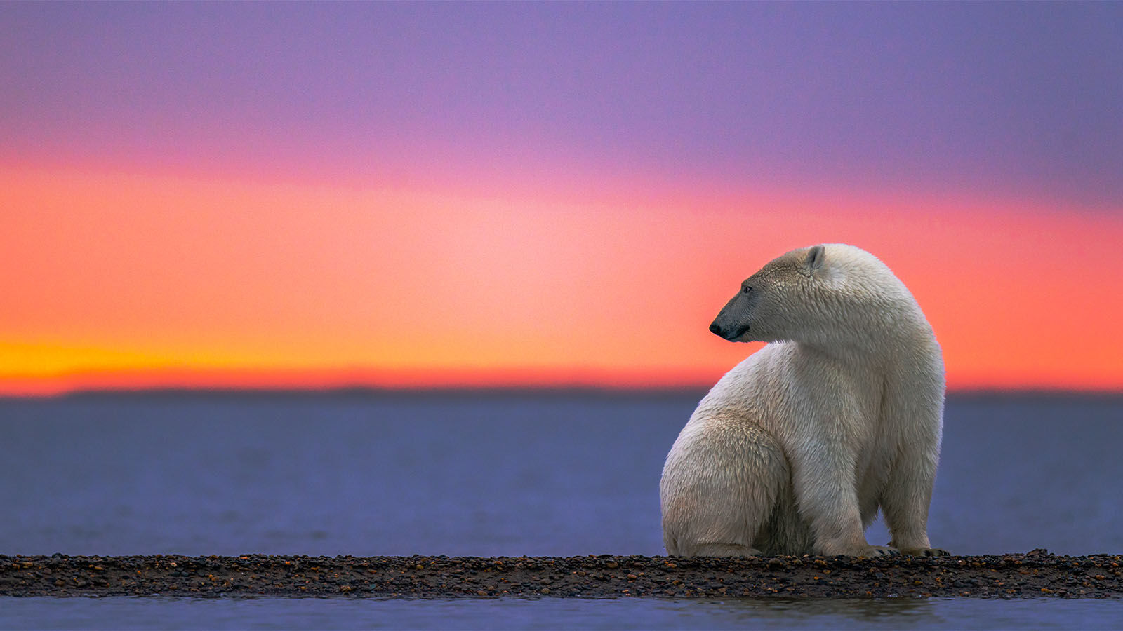 Explained: Paris Rulebook And Its Role In Global Climate Action & Politics Explained: Paris Rulebook And Its Role In Global Climate Action & Politics