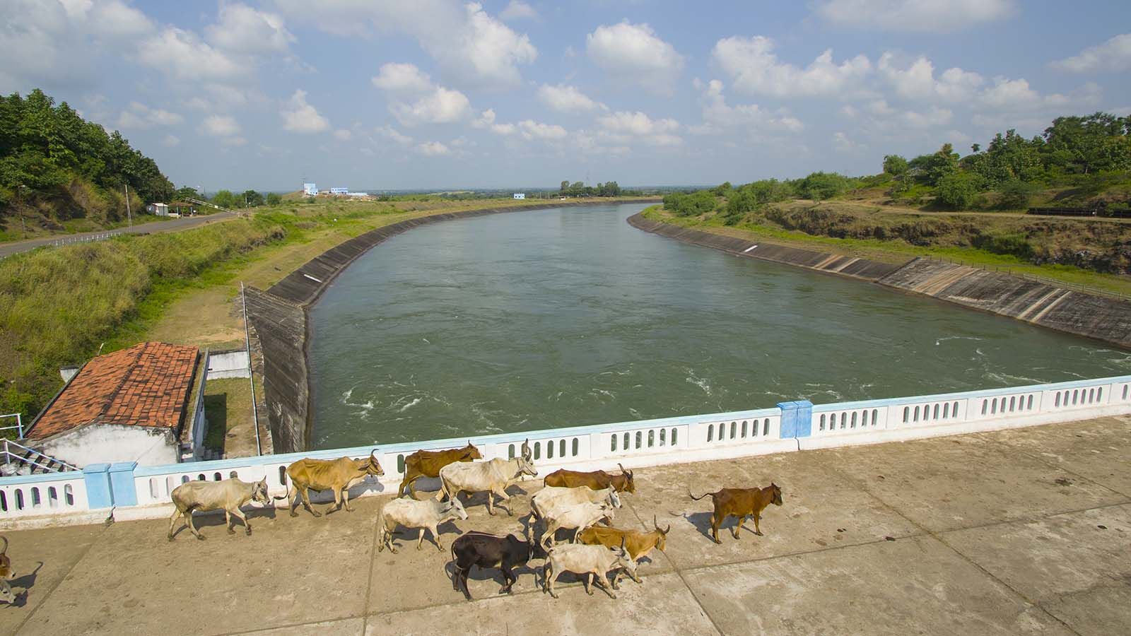 Canals Created New Towns But Few Non-Farm Jobs: Study Canals Created New Towns But Few Non-Farm Jobs: Study