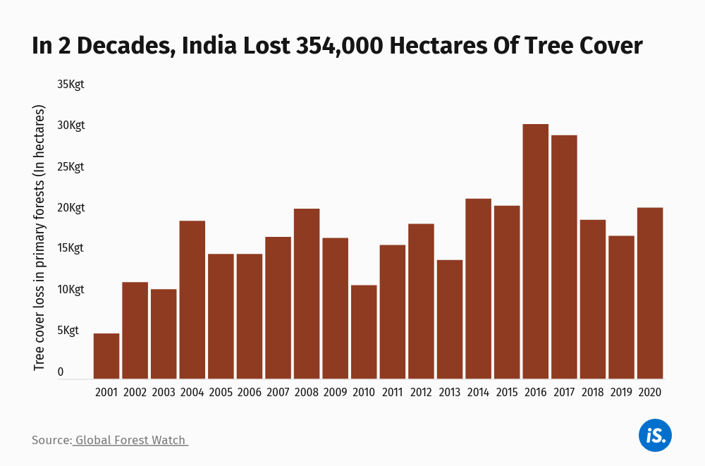 COP26: Countries Pledge $12 Billion To Save Forests COP26: Countries Pledge $12 Billion To Save Forests