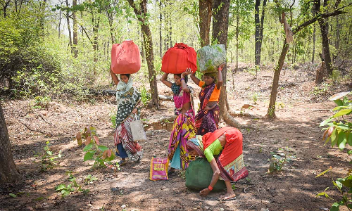 How Community Forest Rights Empowered Gondias Women And Youth How Community Forest Rights Empowered Gondias Women And Youth