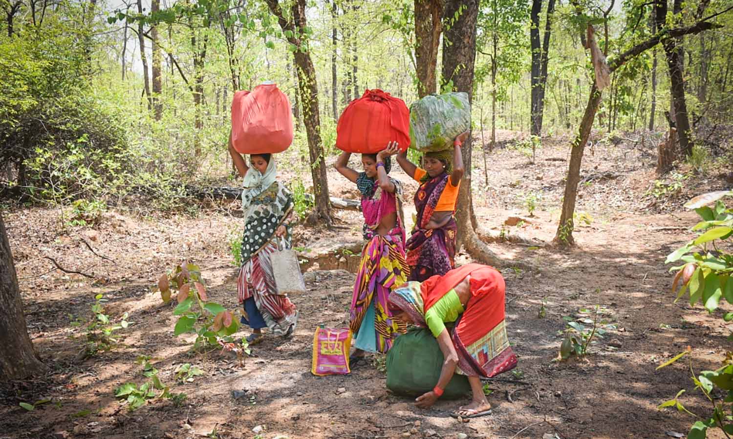 Securing Community Forest Rights In Nepal Through Local Governments And