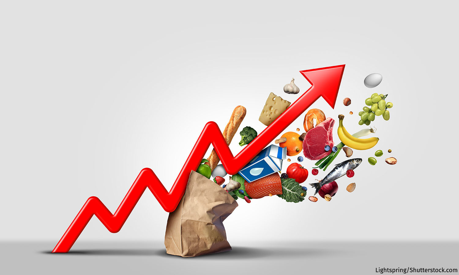 Explained: How Your Grocery Bill Has Changed Over the Past Ten Years Explained: How Your Grocery Bill Has Changed Over the Past Ten Years