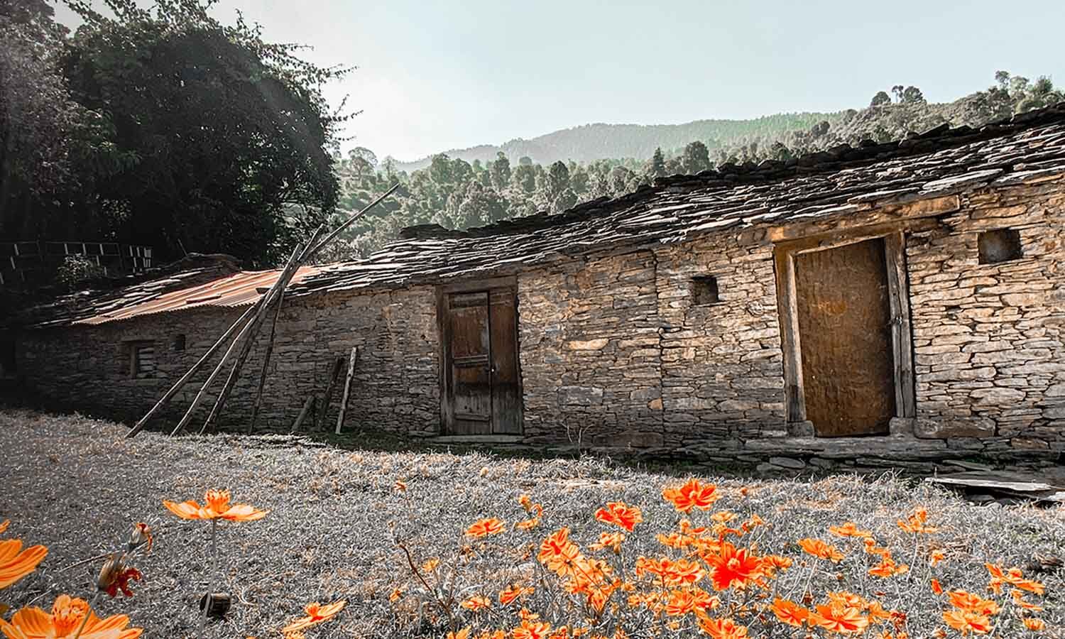 Populating Ghost Towns: How Local Families Are Creating Opportunities in Rural Uttarakhand Populating Ghost Towns: How Local Families Are Creating Opportunities in Rural Uttarakhand