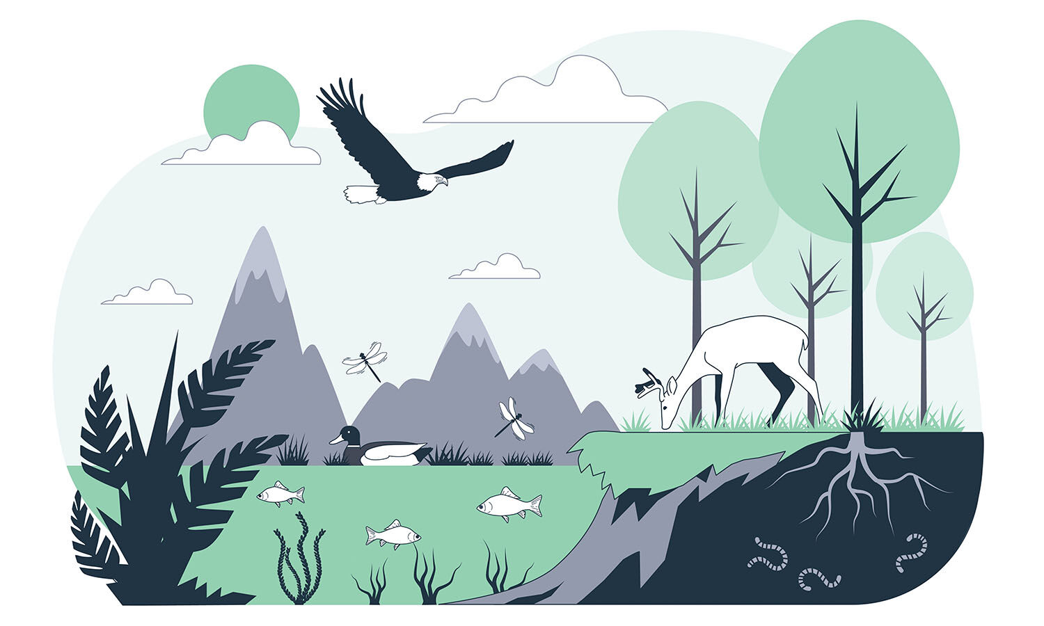 Explained: Can The Global Biodiversity Framework Protect Biodiversity?