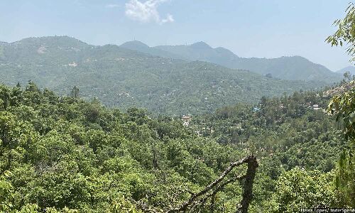 How Van Panchayats, Meant To Protect Uttarakhands Forests, Are Losing Their Relevance How Van Panchayats, Meant To Protect Uttarakhands Forests, Are Losing Their Relevance