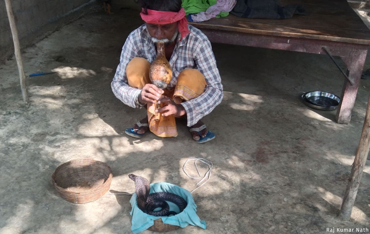Underestimating UPs Sapera Communitys Population Deprives Them of Backward Caste Benefits Underestimating UPs Sapera Communitys Population Deprives Them of Backward Caste Benefits