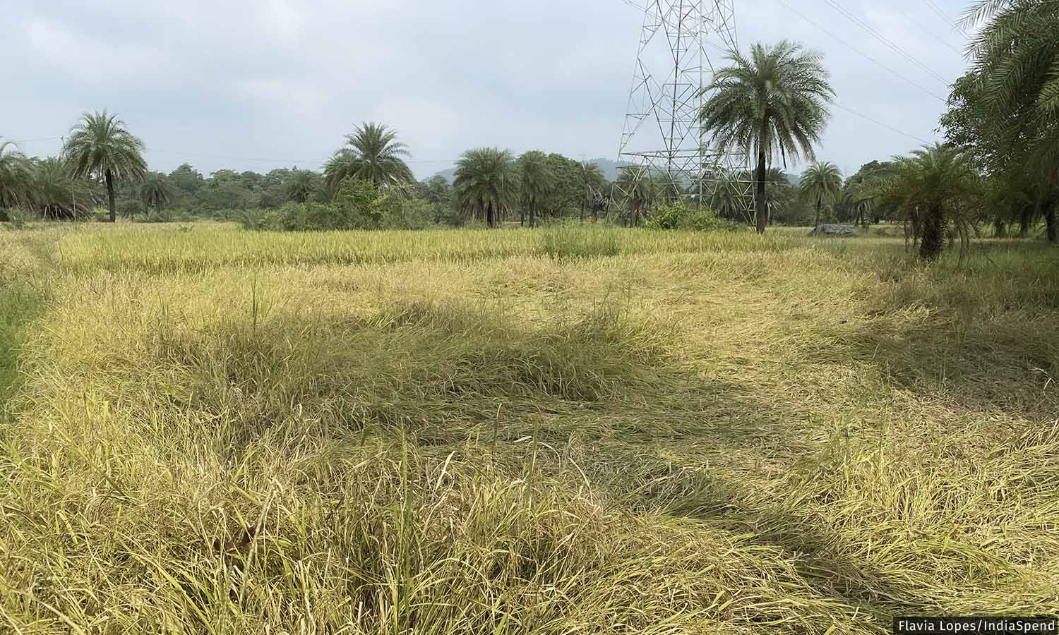 Loss And Damage: Could COP27 Discussions Help Those Affected By The Climate Crisis Loss And Damage: Could COP27 Discussions Help Those Affected By The Climate Crisis