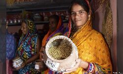 How Seed Banks In Odisha Are Promoting Organic Farming