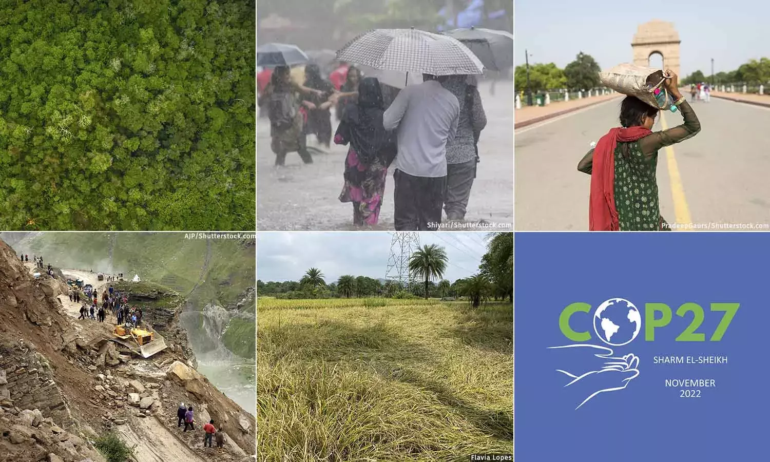 Year In Review: Green Law Dilutions In Year Of Record Extreme Events