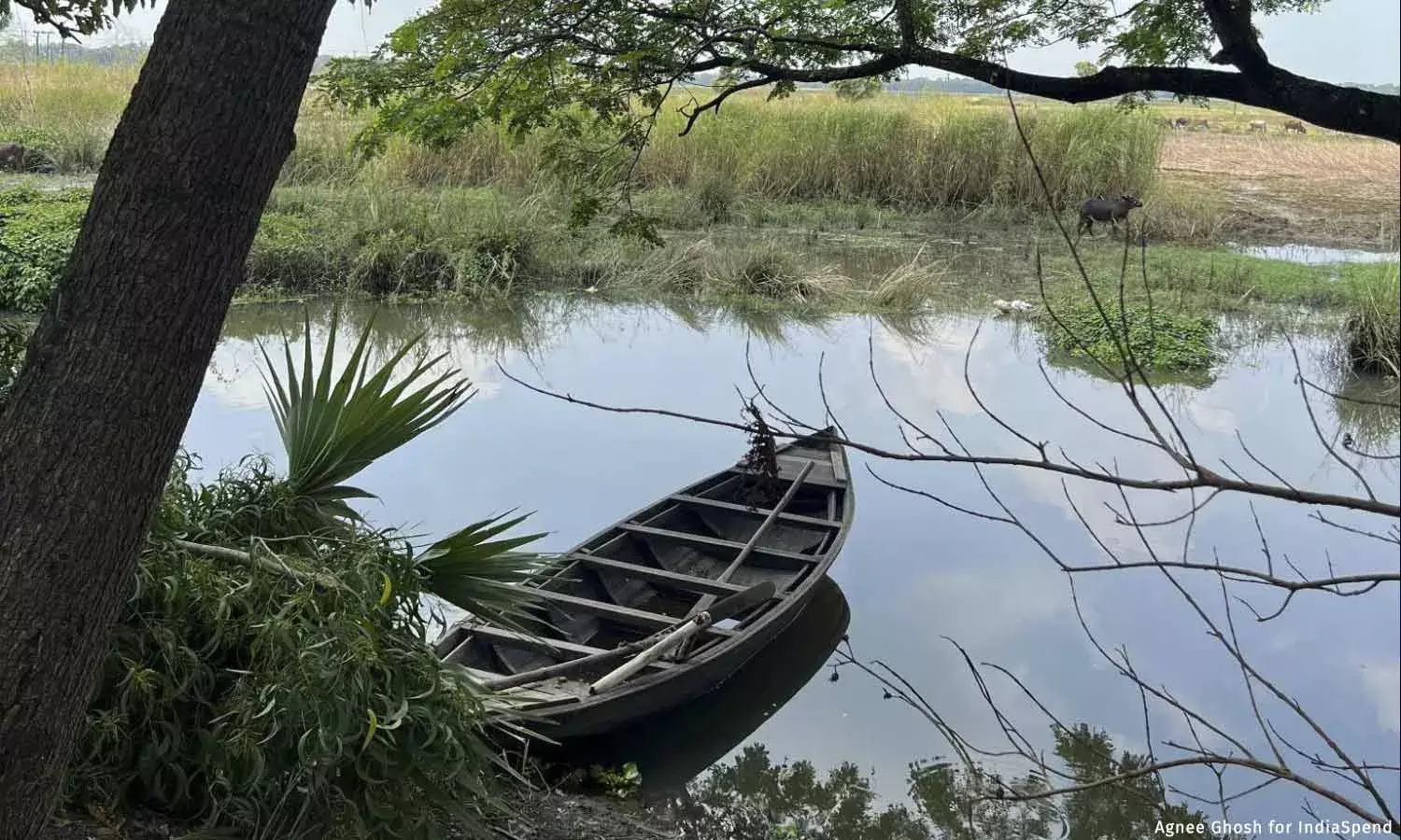 We Have Given Up Hope: Why Residents of Ghatal Are Tired of Frequent Floods We Have Given Up Hope: Why Residents of Ghatal Are Tired of Frequent Floods