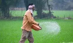 Explained: What Is Natural Farming?