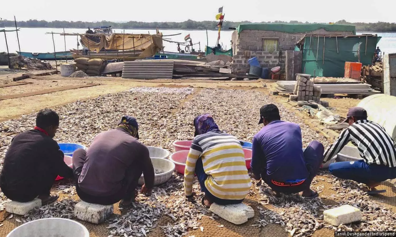 Climate Hotspot: In Kutch, More Cyclone Warnings, Heatwaves Upend People’s Lives Climate Hotspot: In Kutch, More Cyclone Warnings, Heatwaves Upend People’s Lives