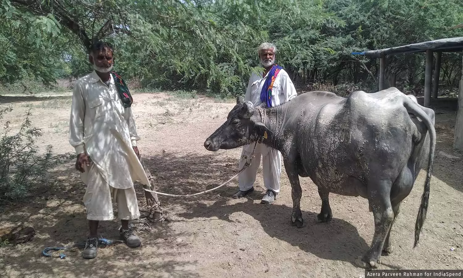 With Disappearing ‘Bhagiyas’, Kutch Risks Losing Local Traditional Knowledge