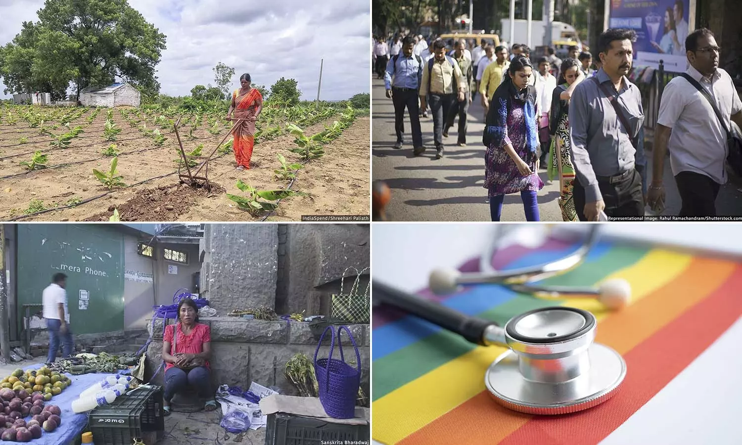 IndiaSpend Stories Win Honours At Laadli Media Awards IndiaSpend Stories Win Honours At Laadli Media Awards