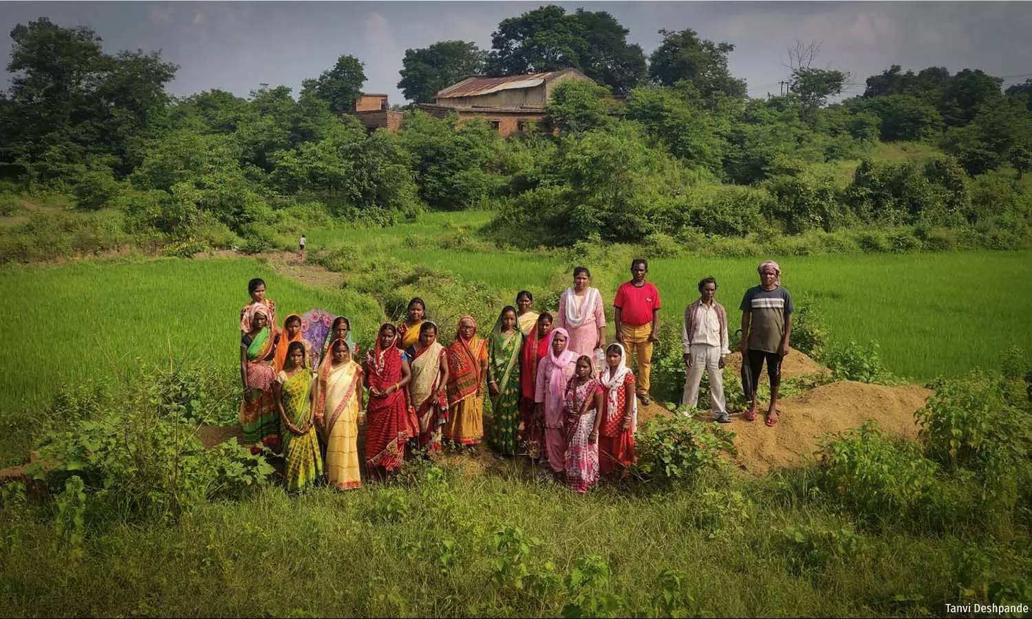 Chop Trees, Then Compensate For Them - At Whose Cost? Chop Trees, Then Compensate For Them - At Whose Cost?