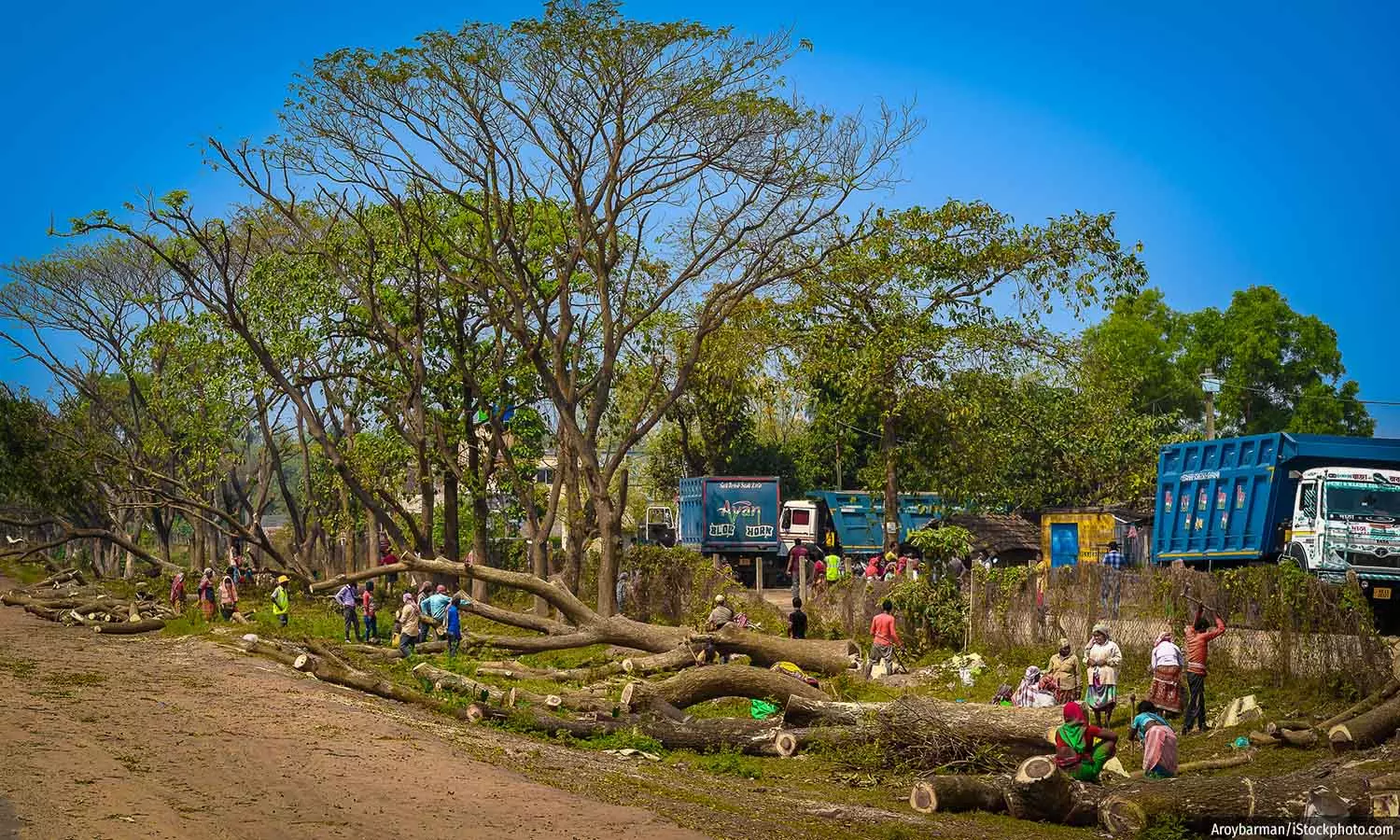 Weakened Forest, Biodiversity Laws Impact India’s Environment In 2023 Weakened Forest, Biodiversity Laws Impact India’s Environment In 2023