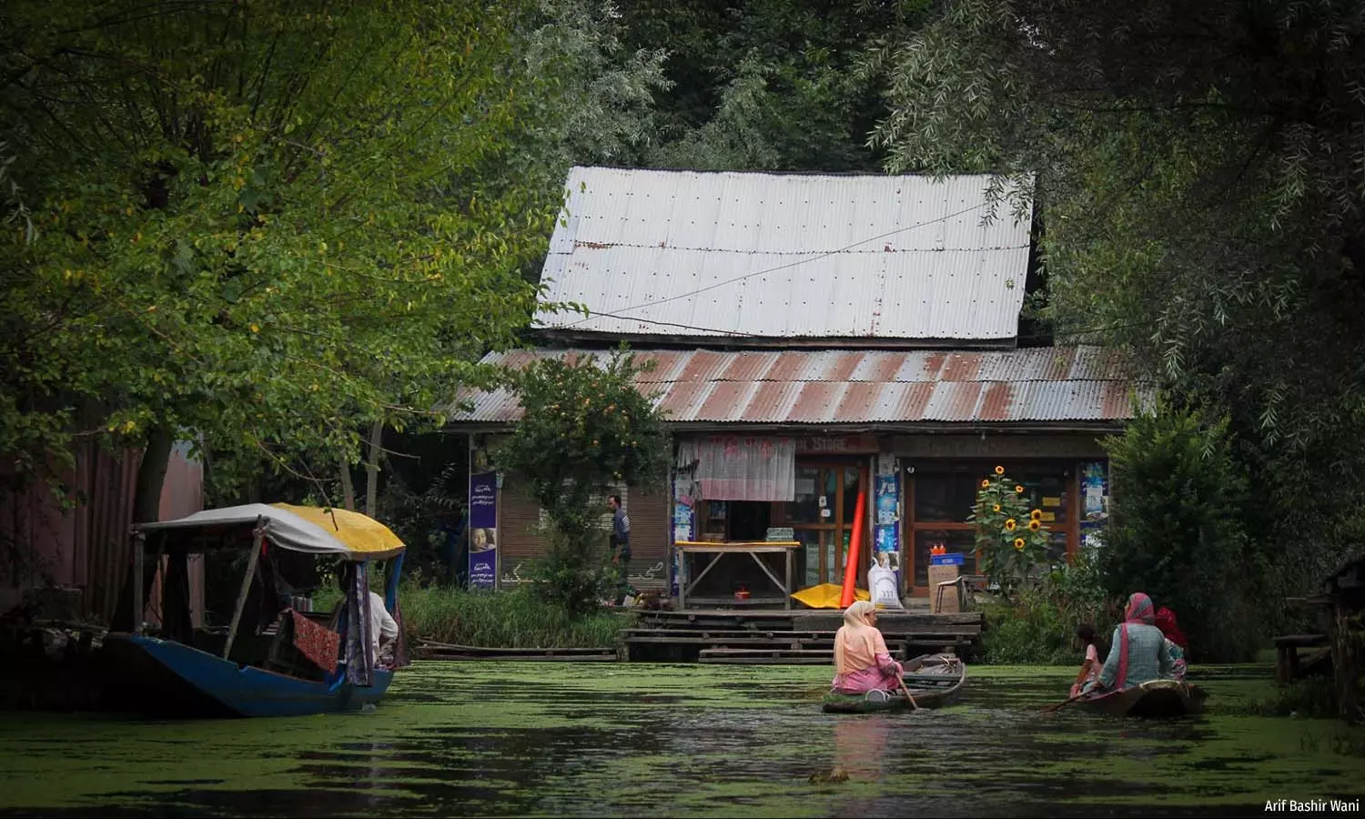 How Rising Pollution Is Affecting Dal Lake How Rising Pollution Is Affecting Dal Lake