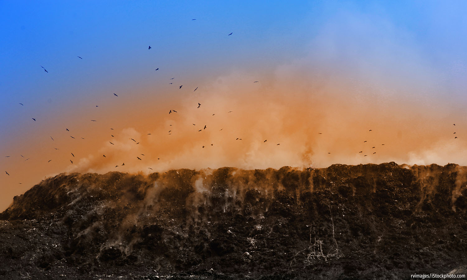 The World's Highest Garbage Mountain: Ghazipur Landfill's Viral Fame
