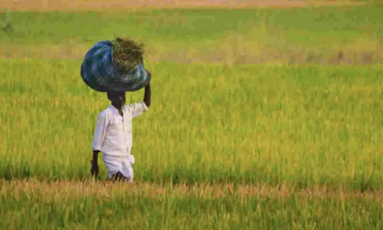 Pradhan Mantri Kisan Samman Nidhi