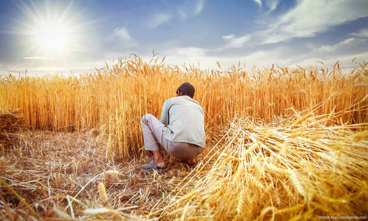 How Can India Future-Proof Wheat?