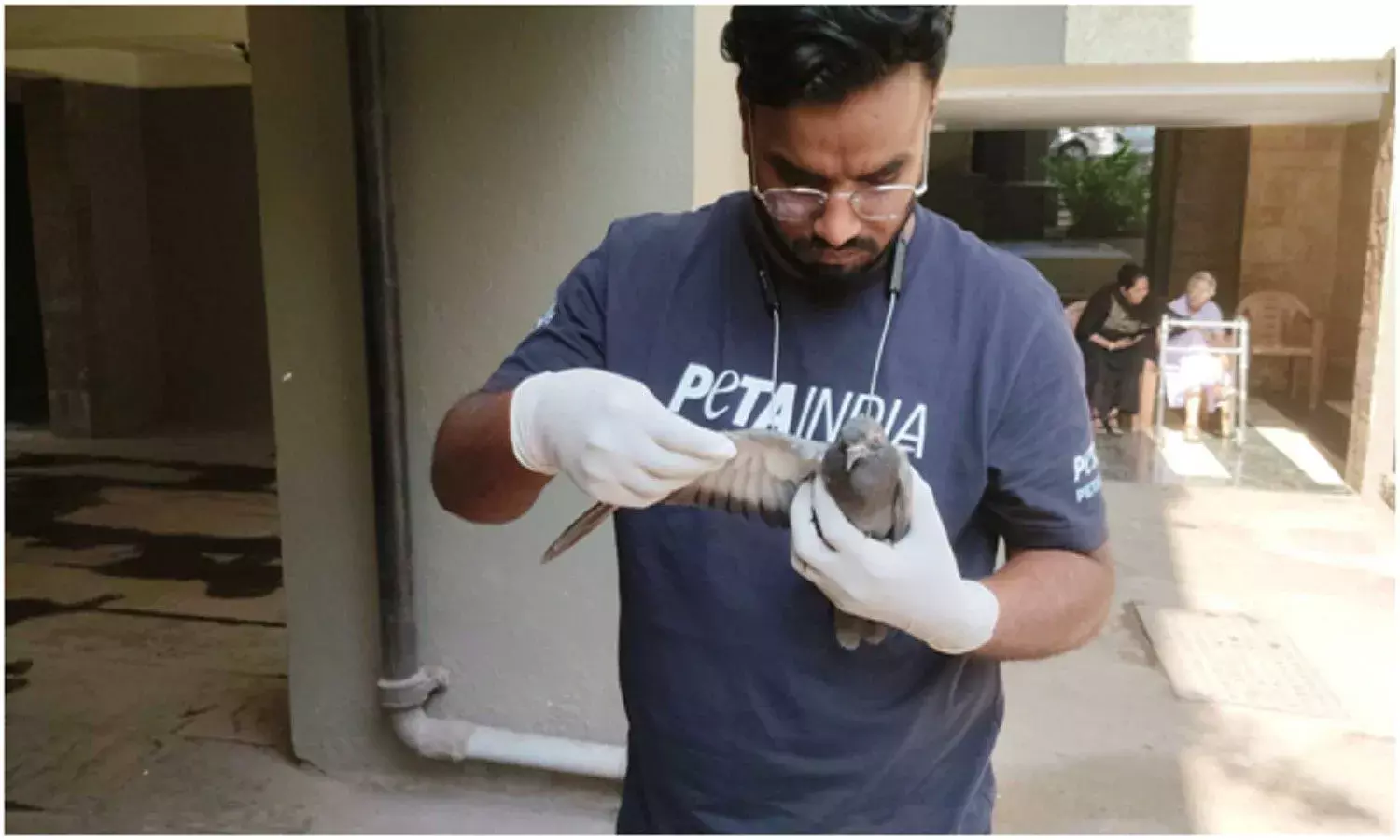 As Indian Summer Breaks Temperature Records, Birds Feel The Heat As Indian Summer Breaks Temperature Records, Birds Feel The Heat