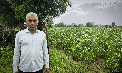 India’s Millets Boom Is Not Helping Farmers’ Incomes India’s Millets Boom Is Not Helping Farmers’ Incomes