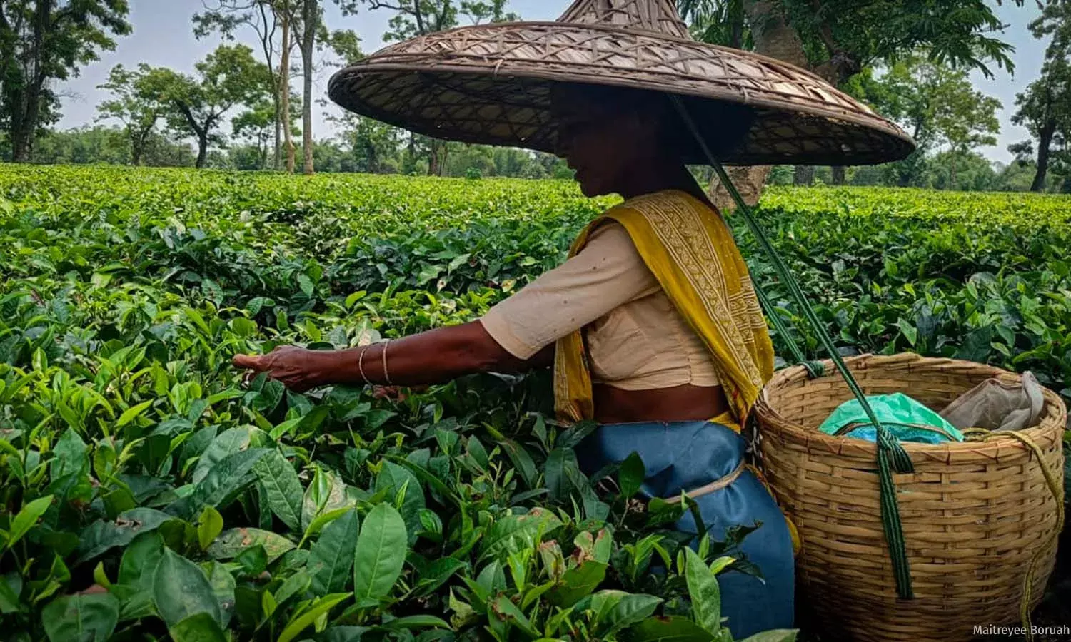 How Poverty Is Perpetuating Trafficking In Assam’s Tea Gardens How Poverty Is Perpetuating Trafficking In Assam’s Tea Gardens